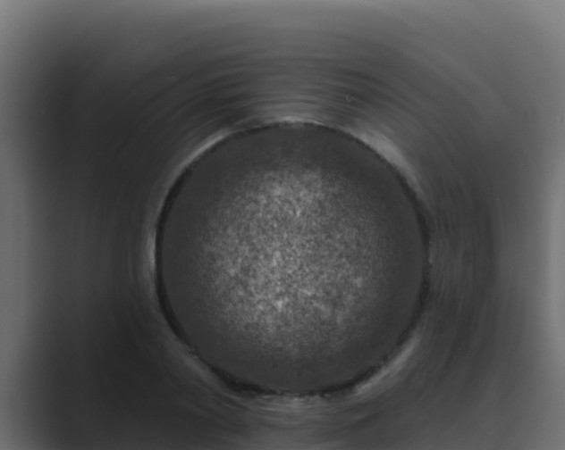 X0000089680790200706281357