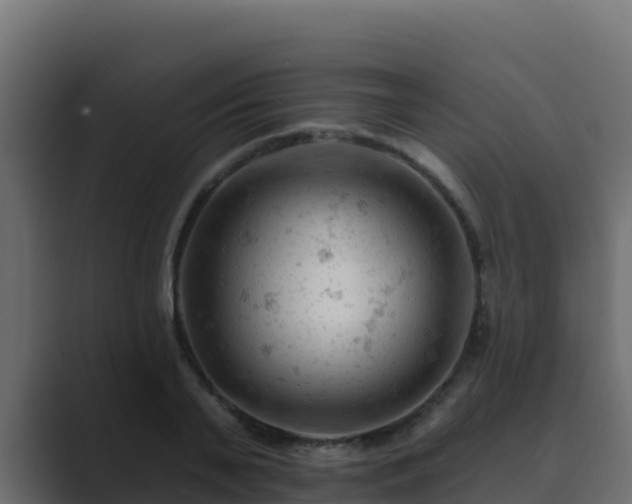 X0000089680791200706281357