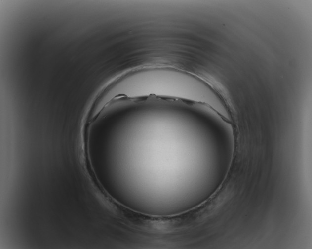 X0000089680792200706281356