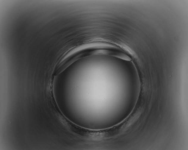 X0000089680793200706281356