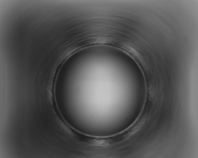 X0000089680794200706281356