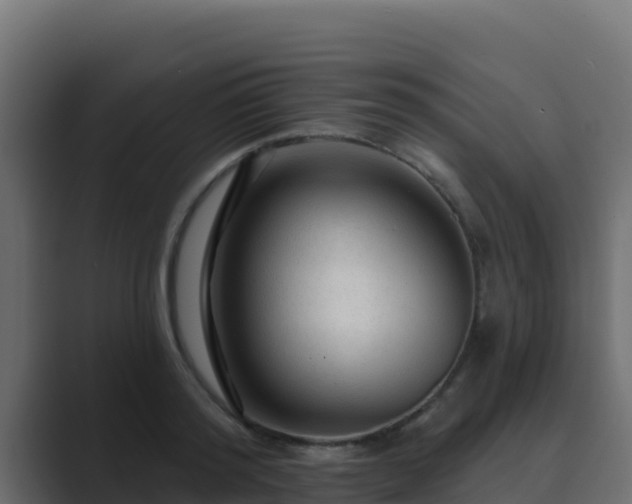 X0000089680796200706281356