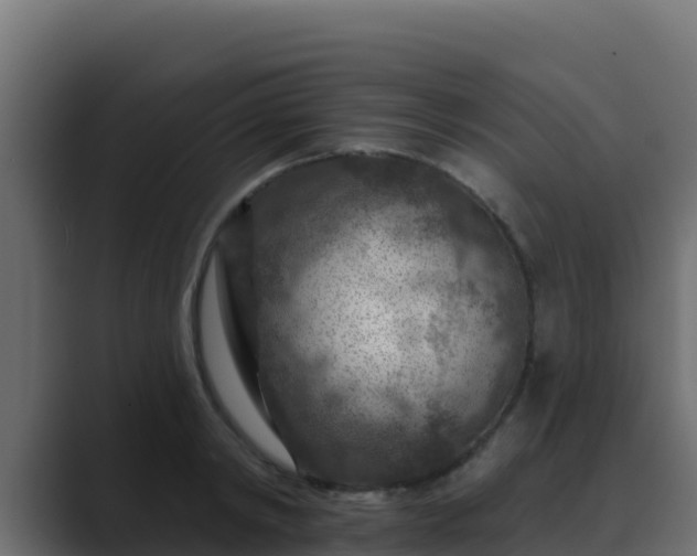 X0000089680798200706281356