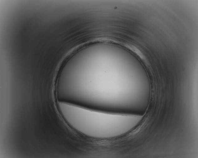 X0000089680799200706281356