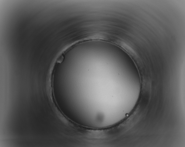 X0000089680800200706281356