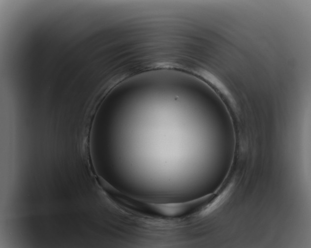 X0000089680801200706281356