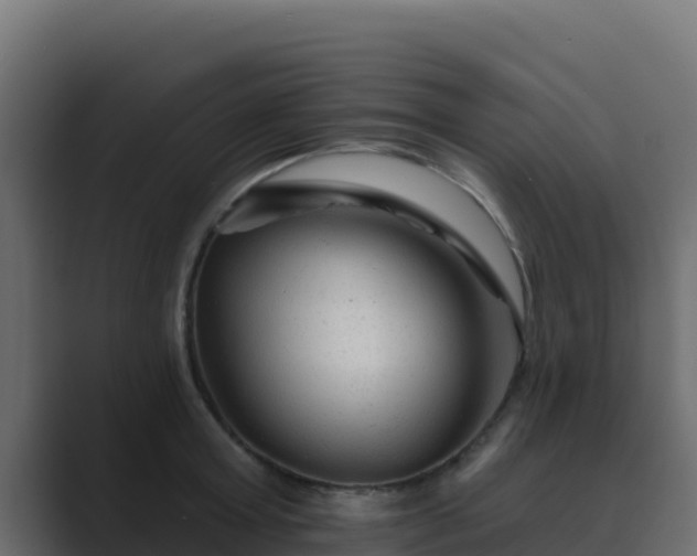 X0000089680803200706281356