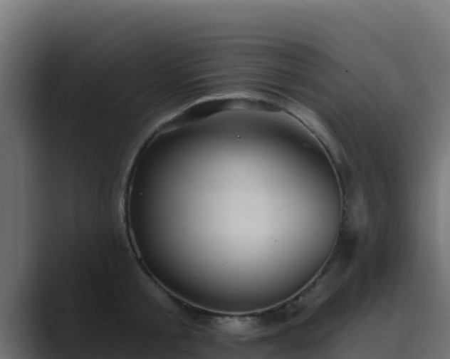 X0000089680805200706281356
