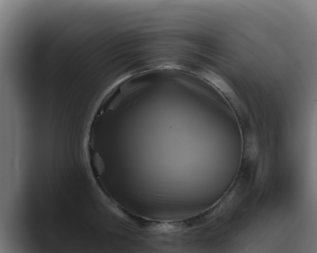 X0000089680806200706281356