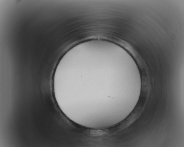 X0000089680807200706281356