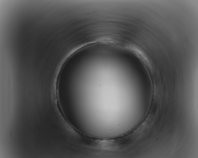 X0000089680808200706281356