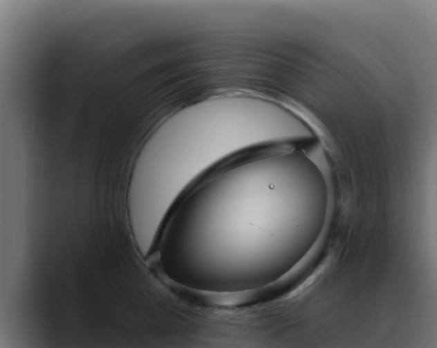 X0000089680809200706281356