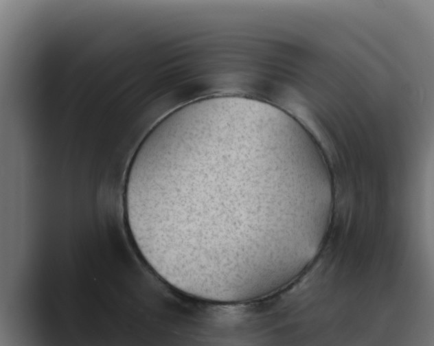 X0000089680810200706281356