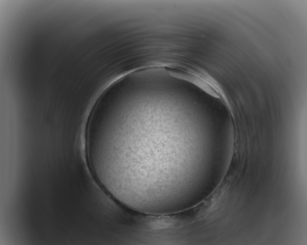 X0000089680811200706281356