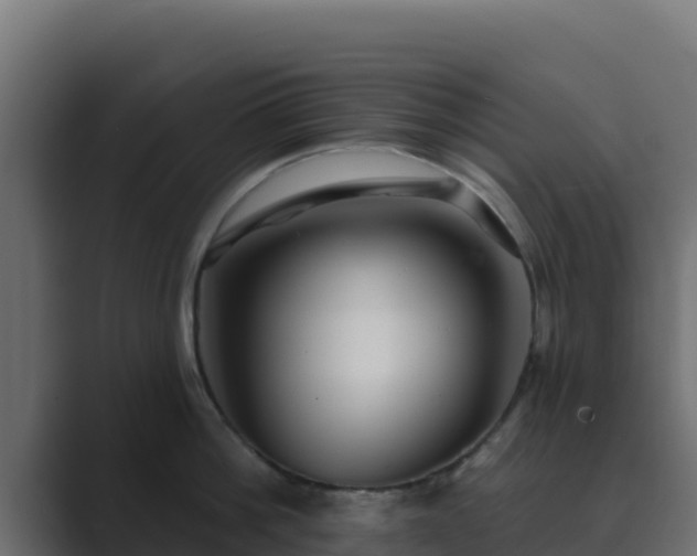 X0000089680812200706281356