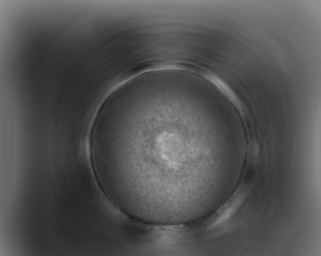 X0000089680813200706281356