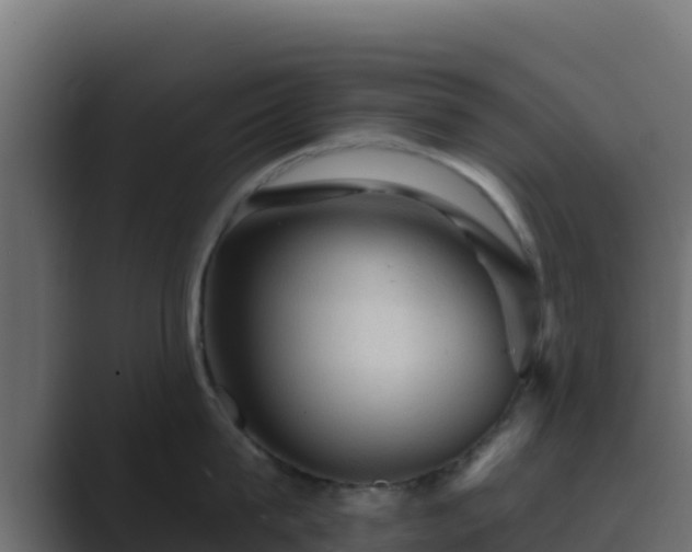 X0000089680815200706281356