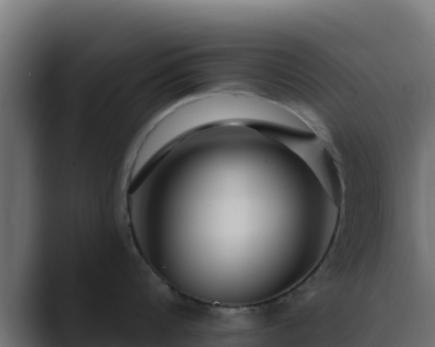 X0000089680816200706281356