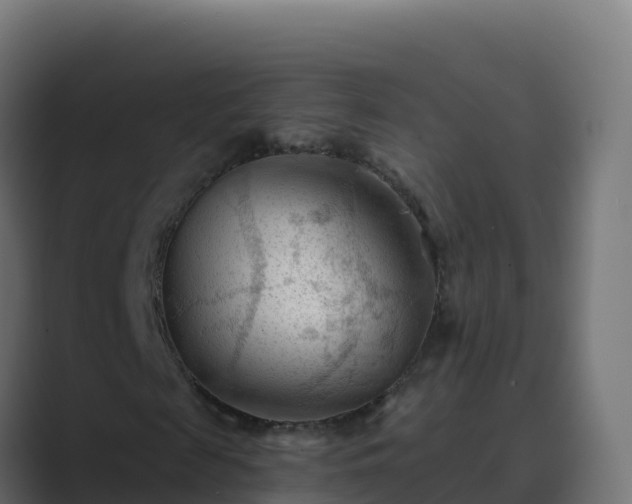 X0000089680817200706281356