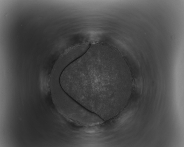 X0000089680818200706281356