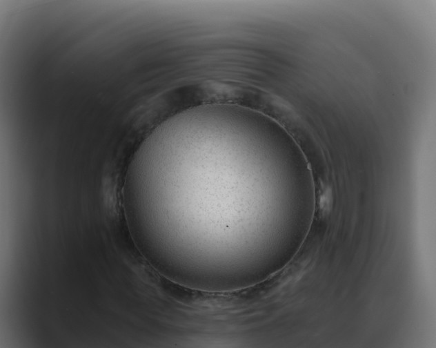 X0000089680819200706281356