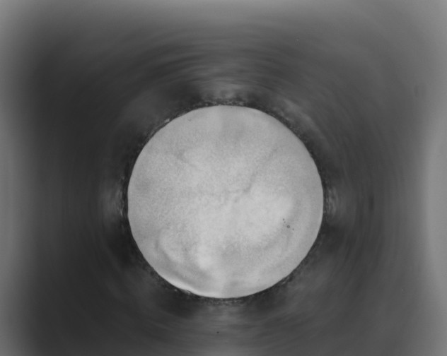X0000089680820200706281356