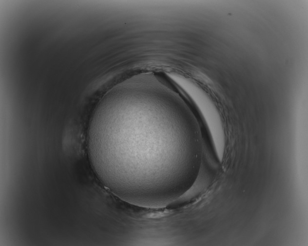 X0000089680822200706281356
