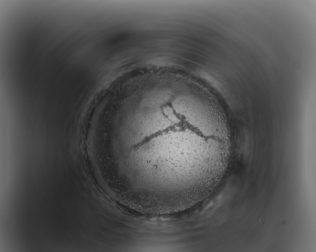 X0000089680823200706281356