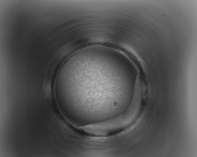 X0000089680825200706281356