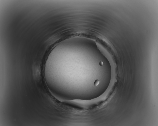X0000089680826200706281356