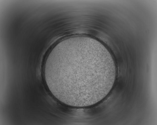 X0000089680828200706281356