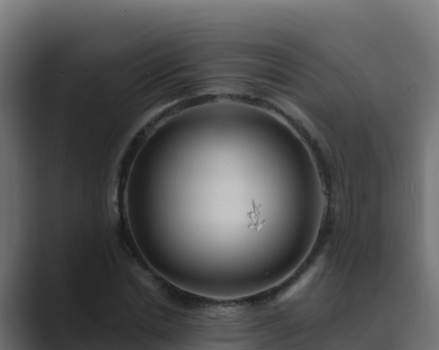 X0000089680830200706281356