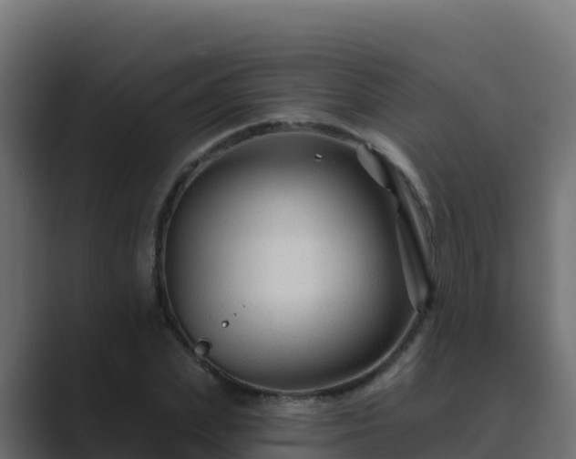 X0000089680831200706281356