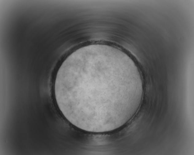 X0000089680832200706281356