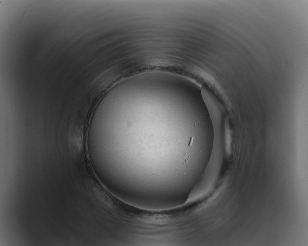 X0000089680833200706281356