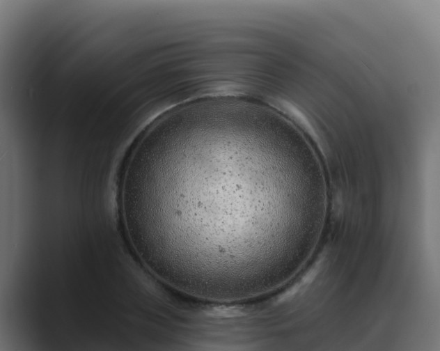 X0000089680835200706281356