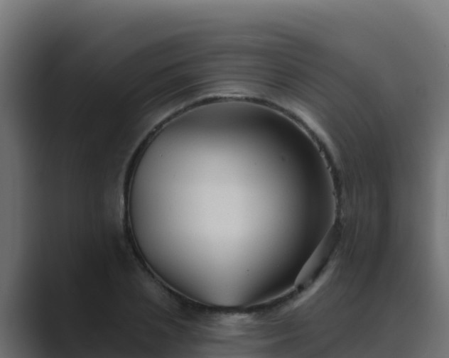 X0000089680837200706281356