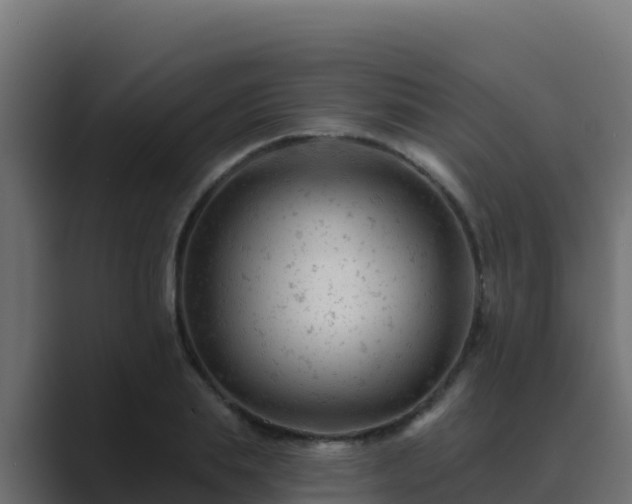 X0000089680839200706281356