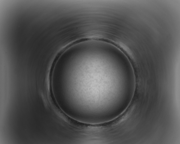 X0000089680840200706281356