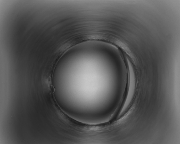 X0000089680841200706281356