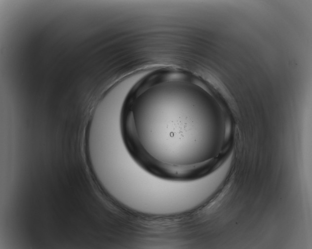 X0000089680842200706281356