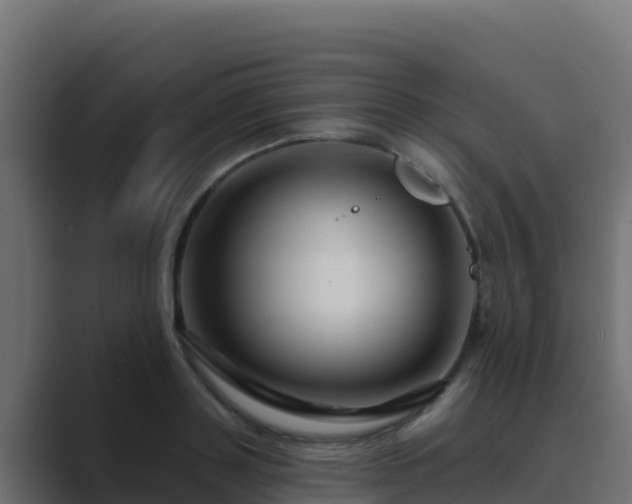 X0000089680843200706281356