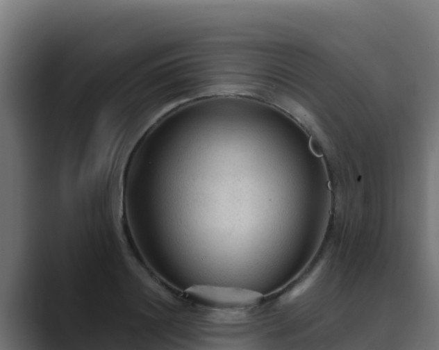 X0000089680844200706281356