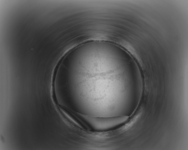 X0000089680845200706281356