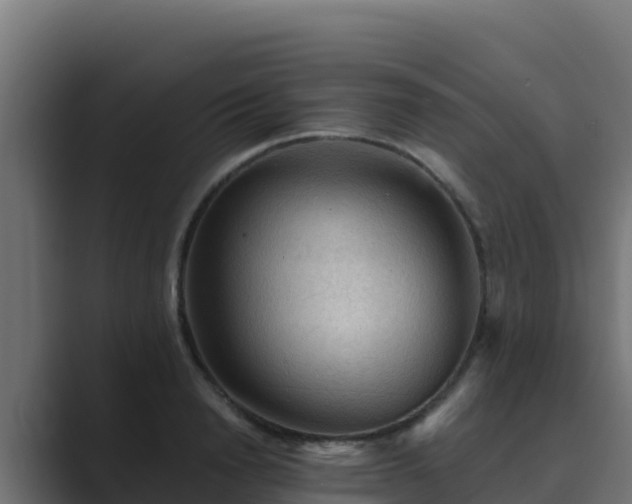 X0000089680846200706281356