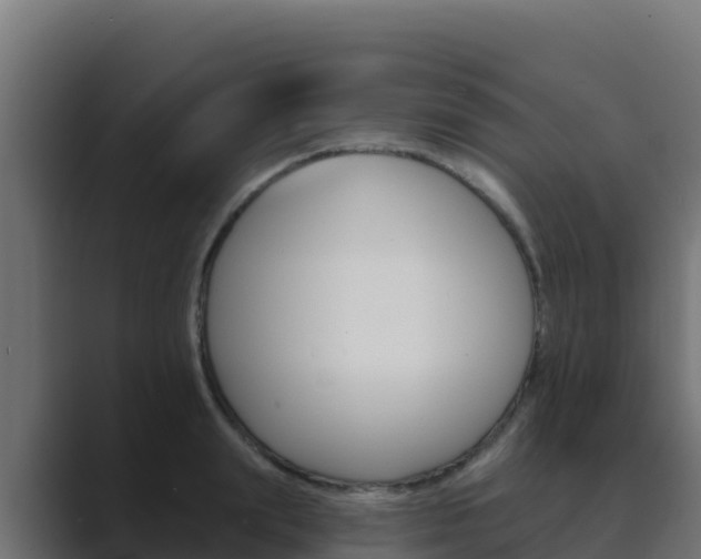 X0000089680847200706281356