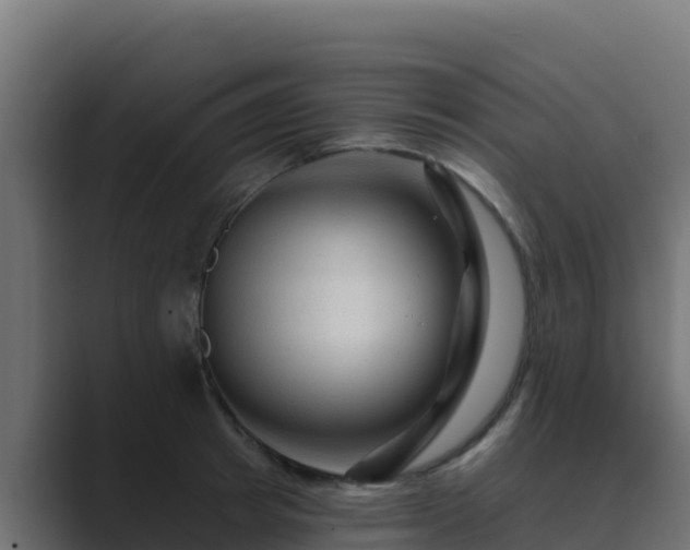X0000089680849200706281356