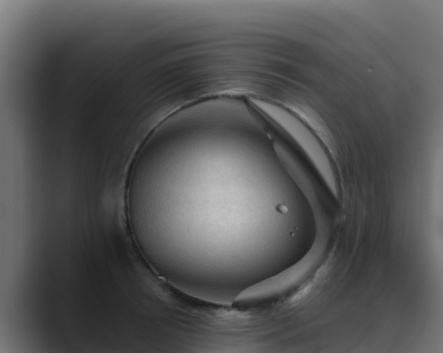 X0000089680850200706281356
