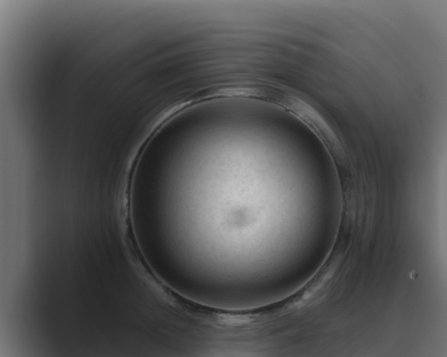 X0000089680852200706281356