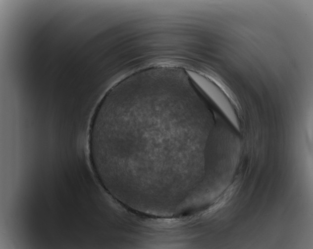 X0000089680853200706281356